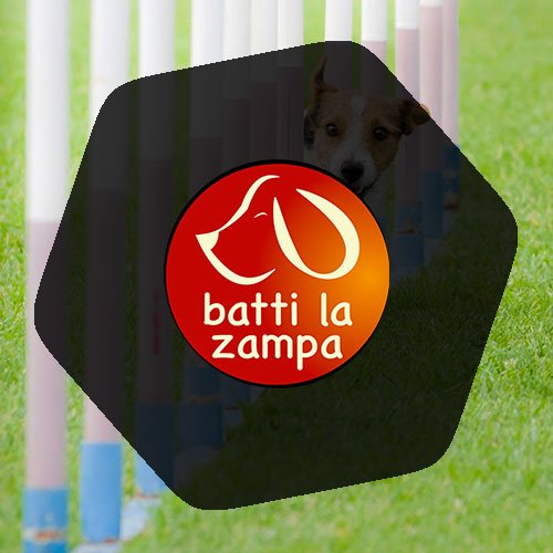 Batti la Zampa